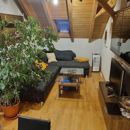 Gemuetliche Dachgeschosswohnung Ерфурт Екстериор снимка