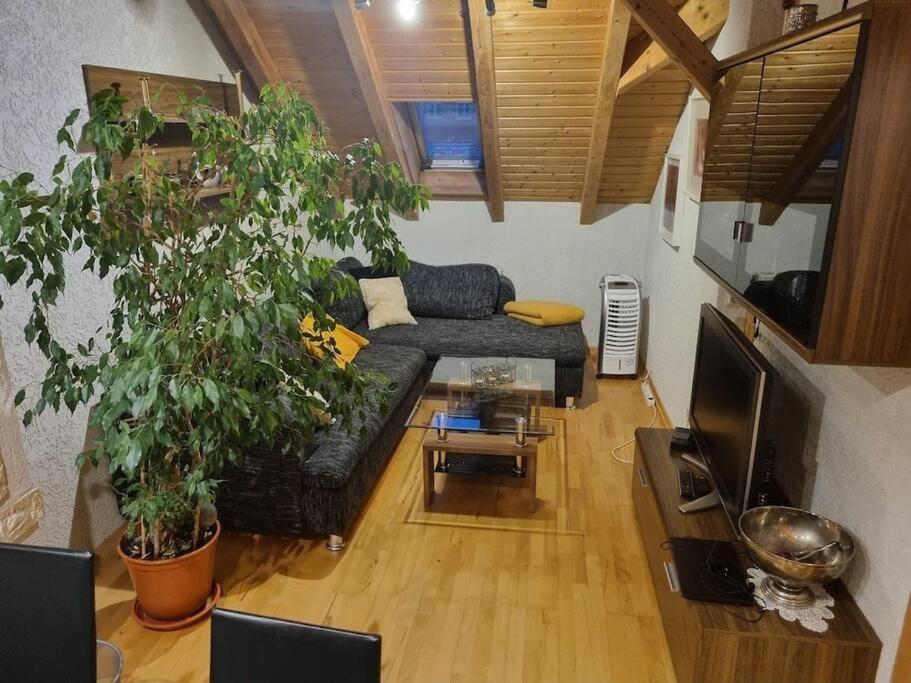 Gemuetliche Dachgeschosswohnung Ерфурт Екстериор снимка