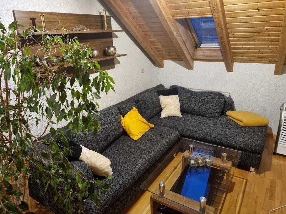 Gemuetliche Dachgeschosswohnung Ерфурт Екстериор снимка