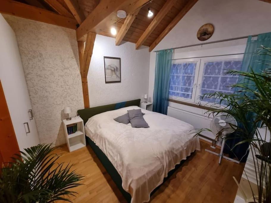 Gemuetliche Dachgeschosswohnung Ерфурт Екстериор снимка