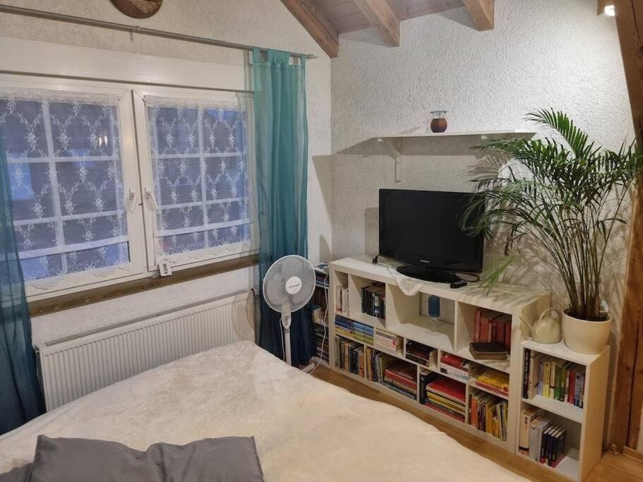 Gemuetliche Dachgeschosswohnung Ерфурт Екстериор снимка